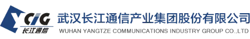 武汉长江通信产业集团股份有限公司 logo