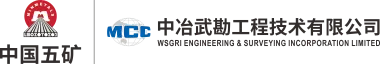 中冶武勘工程技术有限公司 logo