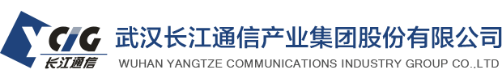 武汉长江通信产业集团股份有限公司 logo
