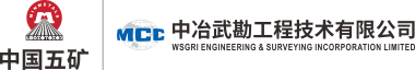 中冶武勘工程技术有限公司 logo